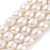 Natural Cultured Freshwater Pearl Beads Strands PEAR-P062-09C-2