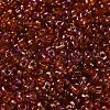Spray Painted Glass Seed Beads SEED-F005-05A-05-3