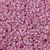 MIYUKI Round Rocailles Beads X-SEED-G009-RR0644-3