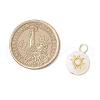 6Pcs 6 Styles Natural Freshwater Shell Flat Round Star Moon Pendants PALLOY-JF03835-2