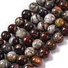 Natural Mexico Crazy Agate Beads Strands G-L615-A01-04-4