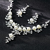 Flower Alloy & Plastic Pearl & Crystal Rhinestone Pendant Necklaces & Stud Dangle Earrings Sets FS-WG18295-01-3