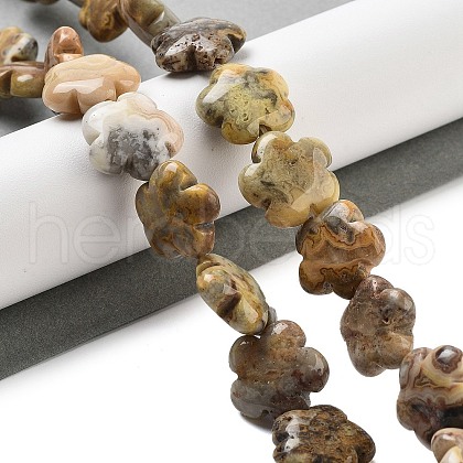 Natural Crazy Agate Beads Strands G-F769-M01-01-1