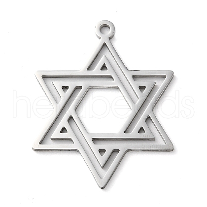 Non-Tarnish 304 Stainless Steel Pendants STAS-R116-01P-1