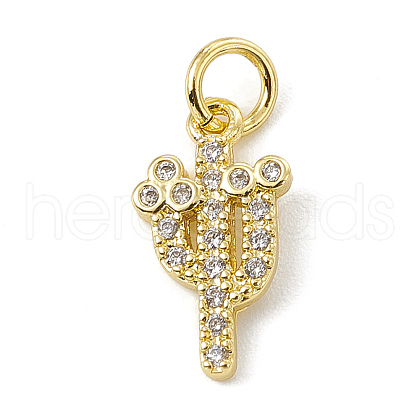 Brass Micro Pave Cubic Zirconia Charms ZIRC-F132-04G-1