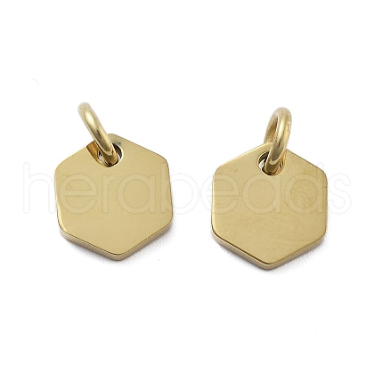 Geometric Figure Style 304 Stainless Steel Stamping Blank Tag Charms STAS-D302-03E-1