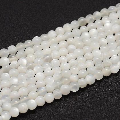 Natural White Moonstone Beads Strands G-F306-05A-6mm-1