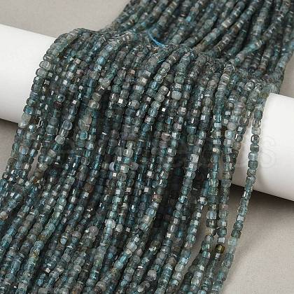 Natural Apatite Beads Strands G-RM241221-M2-1