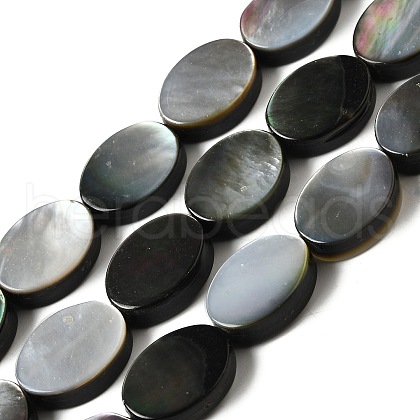 Natural Black Lip Shell Beads Strands BSHE-D300-02-10x14mm-1