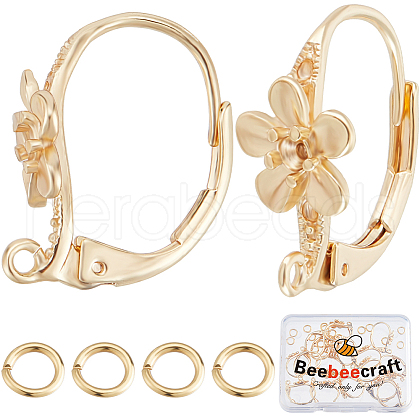 Beebeecraft 20Pcs Brass Leverback Earring Findings FIND-BBC0003-19G-1