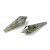 Natural Labradorite Beads G-H256-05-2