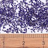 MIYUKI Delica Beads X-SEED-J020-DB0609-4