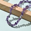 Natural Amethyst Chip Beaded Necklaces for Men Women NJEW-G159-01U-2