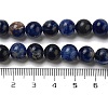Natural South Africa Sodalite Beads Strands G-S259-35-12mm-01-8