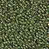 TOHO Round Seed Beads SEED-XTR11-1007-2