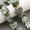 Raw Rough Natural Green Spot Jasper Beads Strands G-Z087-B16-1