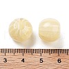 Resin European Beads RESI-Z030-05B-3