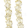 Baking Paint Transparent Glass Beads Strands DGLA-A07-T8mm-KD01-1