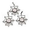 Natural Rose Quartz Spider Web Pendants G-Q163-09AS-06-1