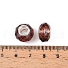 Transparent Glass European Beads GPDL-N004-D14mm-B08-3