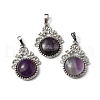 Natural Amethyst Pendants G-P498-01P-05-1