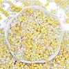 Glass Seed Beads SEED-K010-03A-3