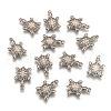 Tarnish Resistant 201 Stainless Steel Tortoise Pendants STAS-Q192-69-1