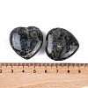 Natural Kambaba Jasper Healing Stones G-G020-01-02-3