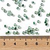 Glass Seed Beads SEED-S042-13A-18-4