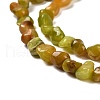 Natural Yellow Green Opal Beads Strands G-P497-01E-34A-4