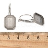 304 Stainless Steel Leverback Earring Finding STAS-C117-12A-P-3