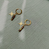 Vintage French Style Gold-Plated Hexagram Hoop Earrings FG9295-6-1