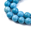 Dyed Natural Magnesite Beads Strands G-P558-A01-01A-4
