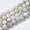 Natural White Moonstone Beads Strands G-N328-51B-01-2
