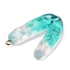 Resin Pendant FIND-Q107-01V-01-2