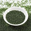 MIYUKI Round Rocailles Beads SEED-G007-RR0026-2