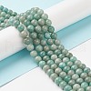 Natural Amazonite Beads Strands G-K068-03-8mm-01-4