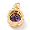 Real 18K Gold Plated Brass Inlaid Cubic Zirconia Charms ZIRC-L100-081G-03-3