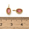 304 Stainless Steel Micro Pave Cubic Zirconia Charms STAS-U027-02G-05-3