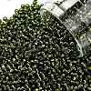 TOHO Round Seed Beads SEED-XTR11-0037-1