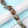 Natural Afican Bloodstone Beads Strands G-F743-04F-2