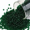 TOHO Round Seed Beads SEED-XTR11-0939F-1