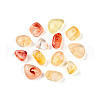 Transparent Acrylic Beads TACR-T028-39D-2