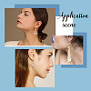 SUNNYCLUE 60Pcs 2 Colors 304 Stainless Steel Leverback Earring Findings STAS-SC0004-62-5
