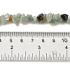 Natural Flower Amazonite Chips Beads Strands G-M205-12-01-10