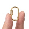 Brass Micro Pave Cubic Zirconia Screw Carabiner Lock Charms ZIRC-F105-03G-5