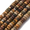 Natural Picasso Jasper/Polychrome Jasper Beads Strands G-L624-I15-3x6mm-2