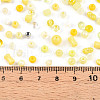 Glass Seed Beads SEED-N007-13B-4