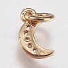 Brass Cubic Zirconia Charms X-ZIRC-E147-59G-2