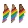Pride Rainbow Theme Resin & Walnut Wood Pendants WOOD-K012-12A-1